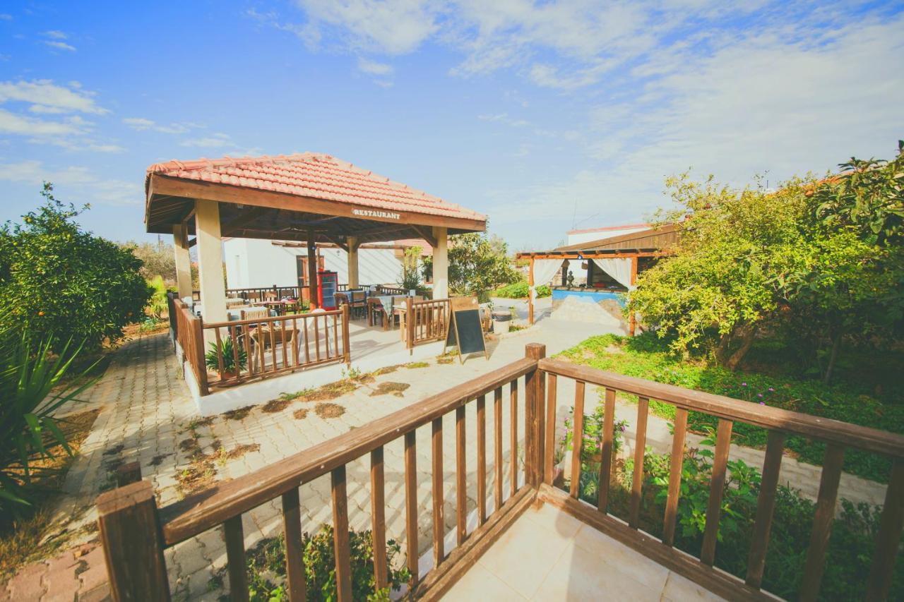 Castle Karpasia Guest House Authentic Atmosphere ! Rizokarpaso Εξωτερικό φωτογραφία