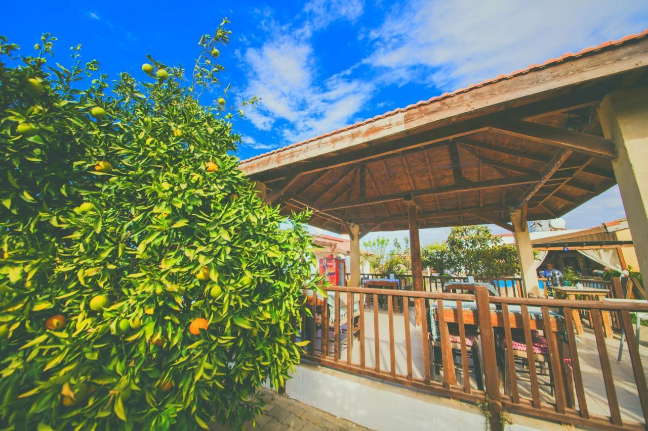 Castle Karpasia Guest House Authentic Atmosphere ! Rizokarpaso Εξωτερικό φωτογραφία